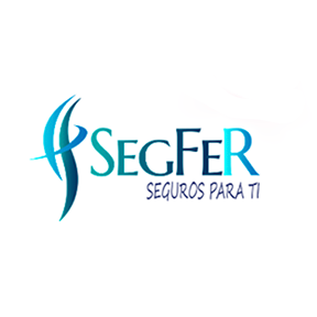 segurosfernandez